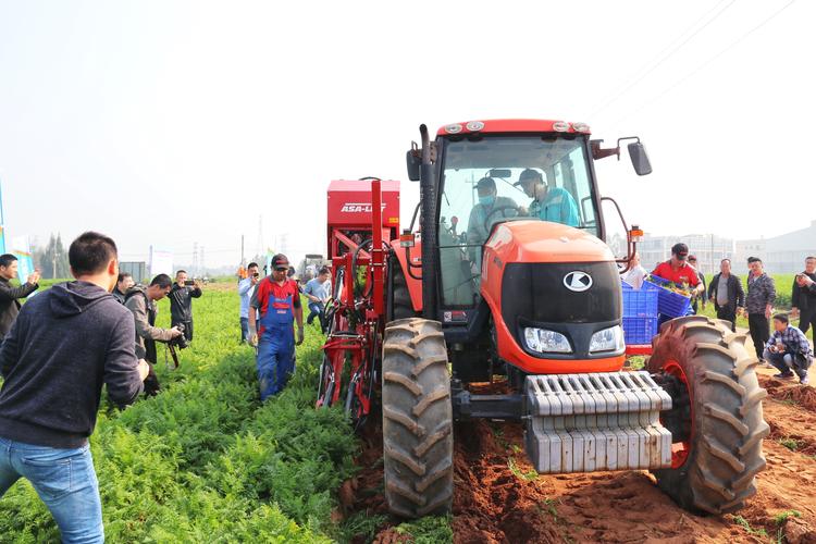 全省胡萝卜生产全程机械化推进活动在农业产业强镇晋江东石镇举行