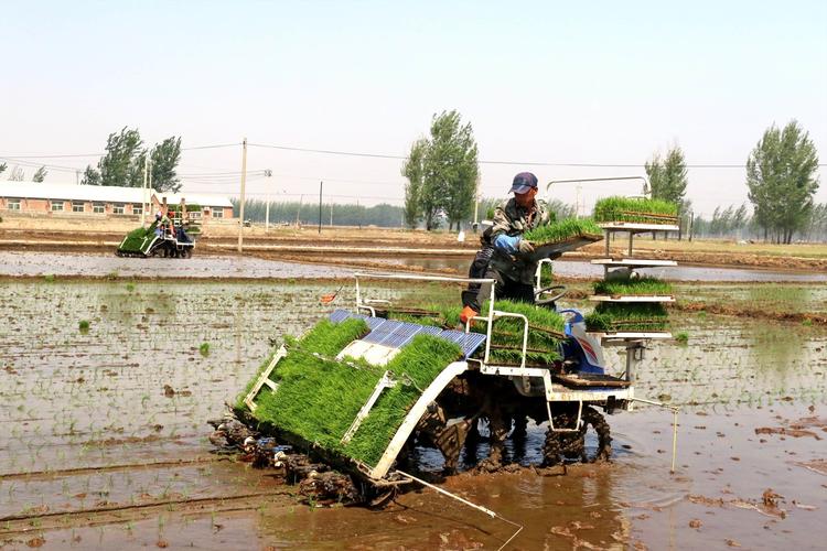 沈阳辽中区成为全国首批农业生产全程机械化示范区